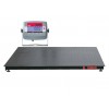VE Series Floor Scales