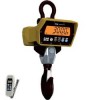 CCB Series Crane Scale