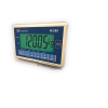Max Technologies Weighing Indicator M500